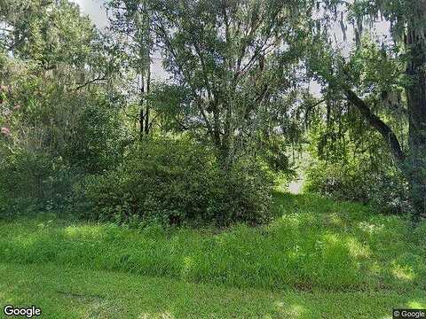 110Th, REDDICK, FL 32686