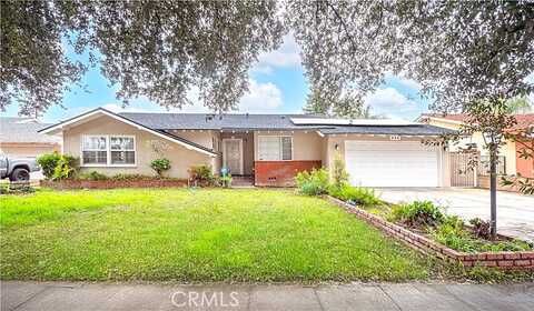 Freda, POMONA, CA 91767