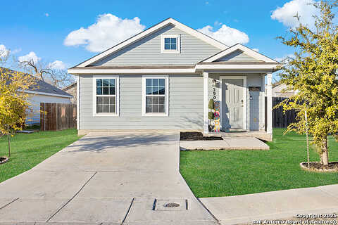 Lady, SAN ANTONIO, TX 78242