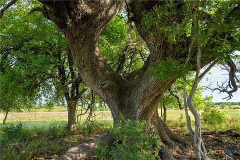 000 W CR 224, Lampasas, TX 78608