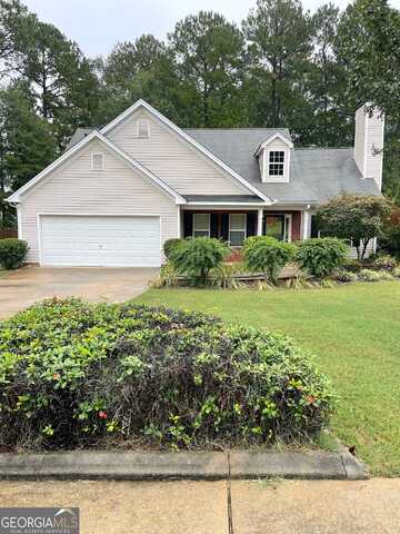 Revolutionary, HAMPTON, GA 30228
