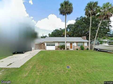 Needle Palm, EDGEWATER, FL 32141