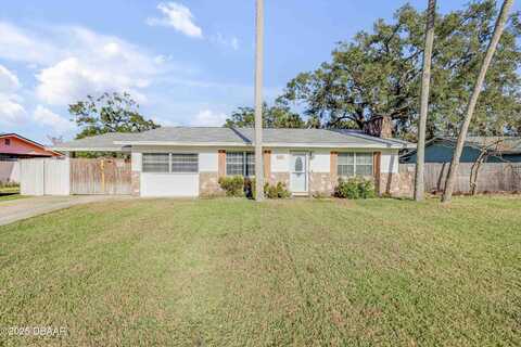 Needle Palm, EDGEWATER, FL 32141