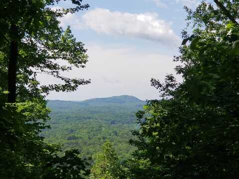 1135 Skyuka Mountain Road, Columbus, NC 28722
