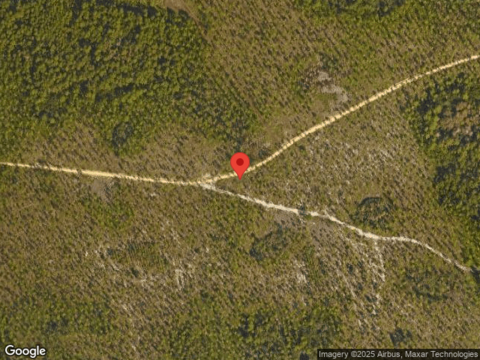 Catface, INLET BEACH, FL 32461