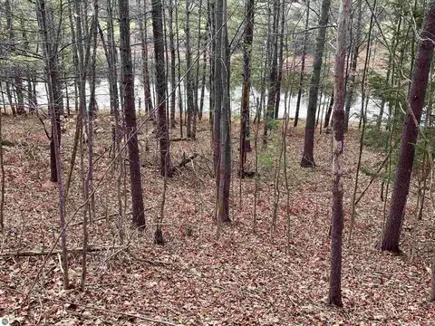 00C Lazy Ridge Trail, Lake Ann, MI 49650