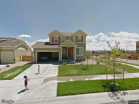 Yellow Daisy, PARKER, CO 80134