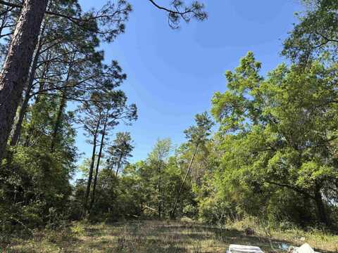 Three Rivers Road, Carrabelle, FL 32322