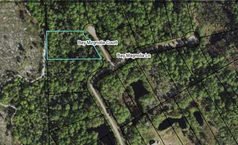 146 Bay Magnolia Court, Carrabelle, FL 32322