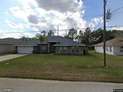 Serbian Bellflower, PALM COAST, FL 32164