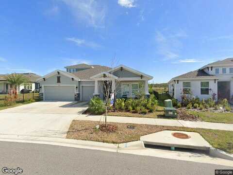 Hidden Branch, APOLLO BEACH, FL 33572