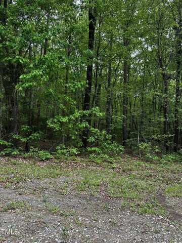 Lot 25 Wild Azalea Place, Rougemont, NC 27572