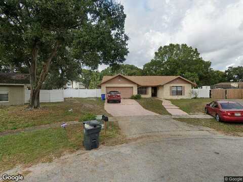 Dominion, TAMPA, FL 33613