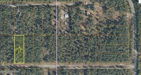 20007 E Tackle Avenue, Willow, AK 99688
