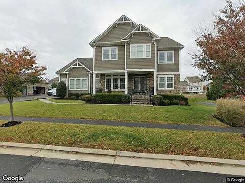 White Yarrow, ASHBURN, VA 20148