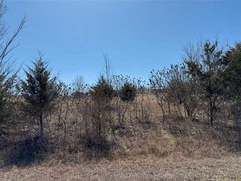 TBD Lot 59 Blockade N, Seligman, MO 65745