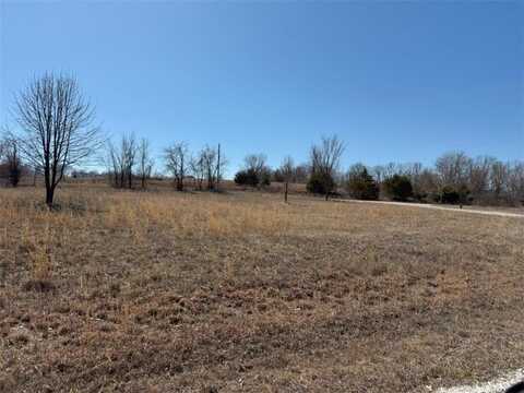 TBD Lot 62 Blockade N, Seligman, MO 65745