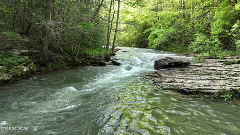 Fall Creek Rd, Rockwood, TN 37854