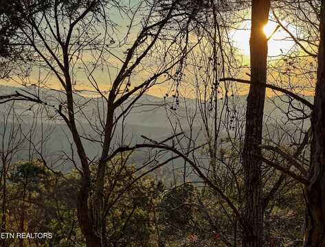 Lot 63 Twin City Way, Pigeon Forge, TN 37876