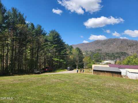 315 Larrys Lane, Mountain City, TN 37683