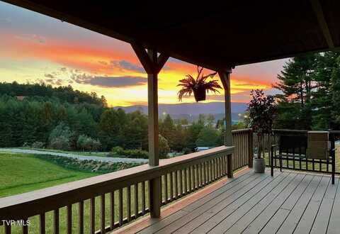571 Pedro Shoun Lane, Mountain City, TN 37683