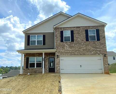 813 Pinhoti Street, Johnson City, TN 37604