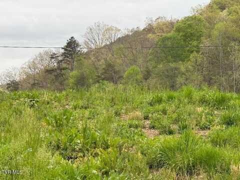 128 Elbow City Road, Rogersville, TN 37857