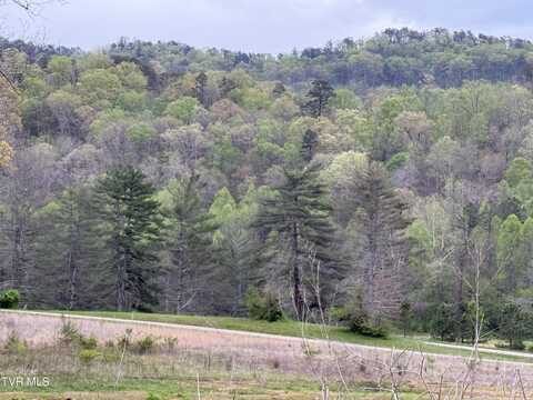 128 Elbow City Road, Rogersville, TN 37857