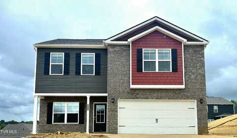 809 Pinhoti Street, Johnson City, TN 37604