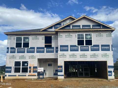 305 Cookie Loop, Gray, TN 37615