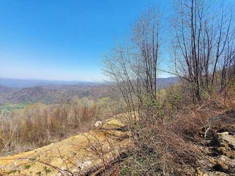 00 Cloudland Drive, Roan Mountain, TN 37687