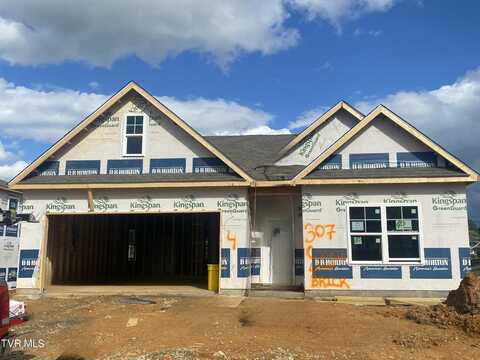 307 Cookie Loop, Gray, TN 37615