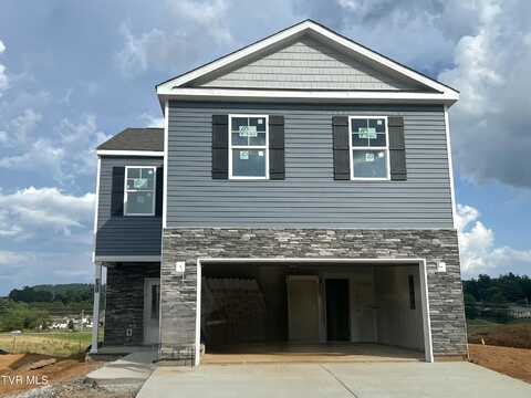 311 Cookie Loop, Gray, TN 37615