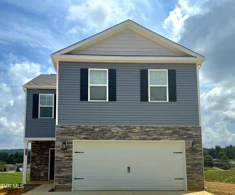 311 Cookie Loop, Johnson City, TN 37615