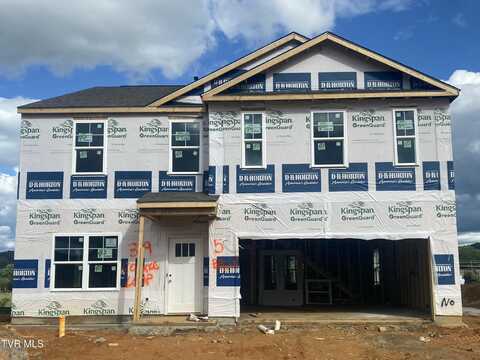 309 Cookie Loop, Gray, TN 37615