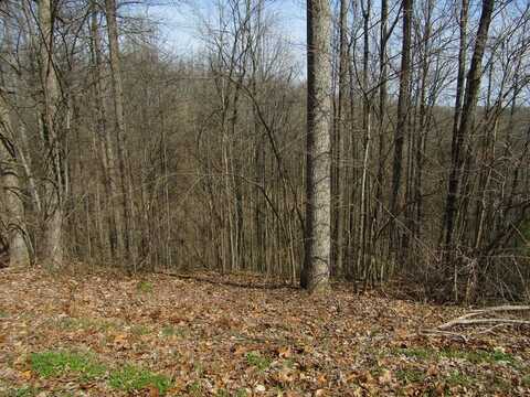 Lot 28 Hunters South Landing Lane, SMITHVILLE, TN 37166