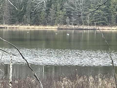 742 moonlite, Laona T-WI, WI 54103