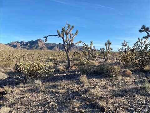 328-03-449 NORTH Drive, Dolan Springs, AZ 86441