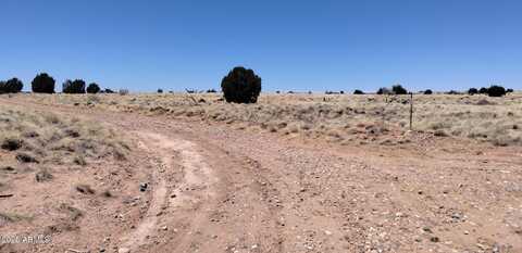 3716 THOMAS Road, Heber, AZ 85928