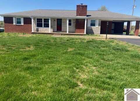 3649 St Rt 384, Mayfield, KY 42066