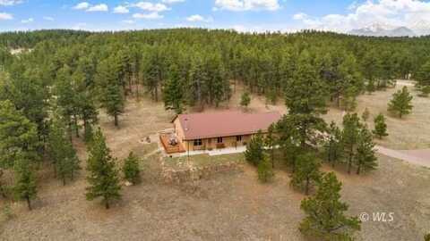 734 Black Fawn Ln, Westcliffe, CO 81252