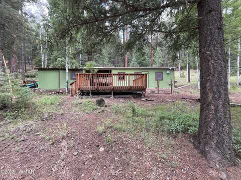 6 County Road 1006, Greer, AZ 85927