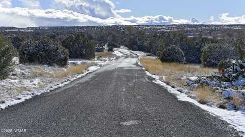 83 County Road 5083, Concho, AZ 85924