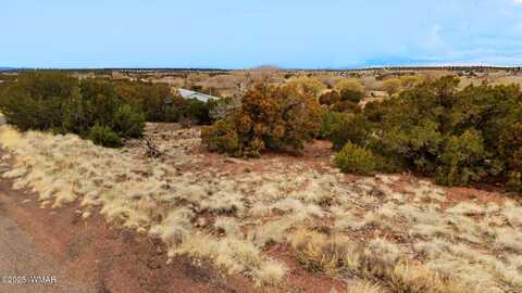 83 County Road 5083, Concho, AZ 85924