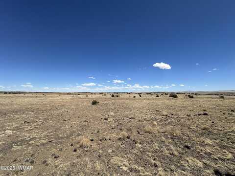 Tbd County Road 5132, Concho, AZ 85924