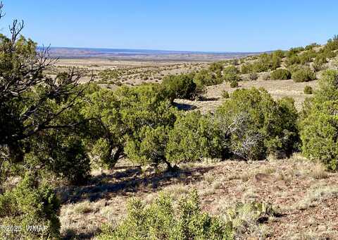 Tbd Co Rd 5062 Lot 1 3.53 Acres, Concho, AZ 85924