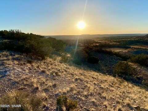 Tbd Co Rd 5062 Lot 1 3.53 Acres, Concho, AZ 85924