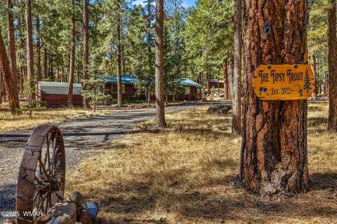 6 N1035, Greer, AZ 85927