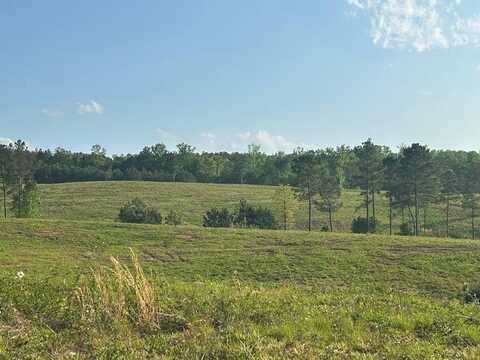 Needmore Road- (345.37 acres), Roopville, GA 30170