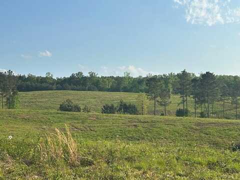 Needmore Road- (345.37 acres), Roopville, GA 30170